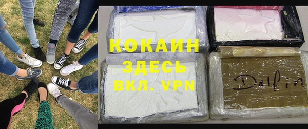 шишки Магадан