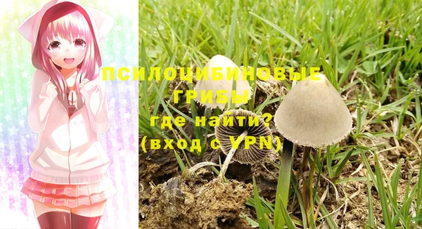 ПСИЛОЦИБИНОВЫЕ ГРИБЫ Лагань